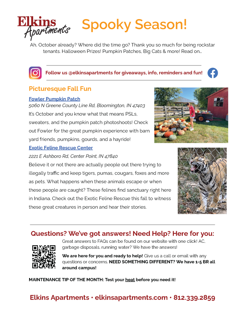 Elkins Apartments October 2024 Newsletter Page 1