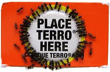 Terro liquid ant bait