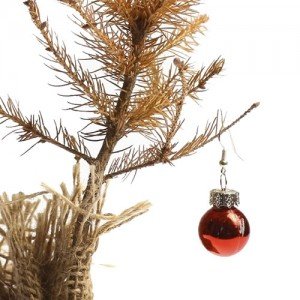 Dead Christmas tree